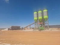Chinese investor struck by lightning after Chombo visit.webp