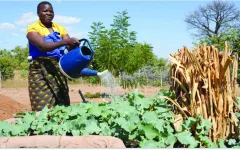 Binga’s water woes ease as 40,000 finally get clean taps and solar power.webp