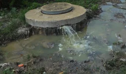 Rusape sinks in sewage as broke council workers demand bribes.webp