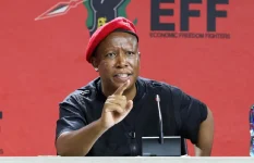 Malema tells Zim migrants to work back home first.webp