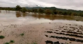 Chitipa floods wreck farms, roofs, and hope.webp