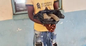 Karonga cops bust man with 10 weed sachets.webp