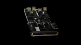NVIDIA's Blackwell obliterates AMD in MoE showdown, costs pennies per token.webp