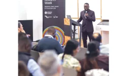 Zim’s digital hustle shines on global stage.webp