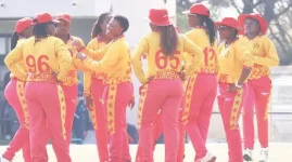 Zim cricket’s year - more matches than wins.webp