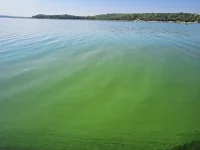 Harare’s Lake Chivero choked by lazy polluters.webp