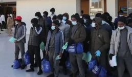 Canada boots 366 Nigerians in 10 months, eyes 974 more for exit.webp