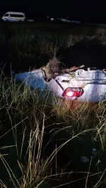 Six dead in Free State T-bone crash nightmare.webp