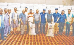 Kibondo farmers stack beans, not stress, thanks to coop boom.webp