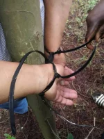 Pretoria farmer tied to tree by fake buyer, cops hunt suspect.webp