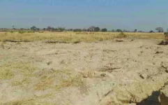Land chaos reigns in Mashonaland West as families fight to keep farms.webp