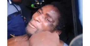 Guruve killer was finally caught, leg shot off, hiding in garden​.webp