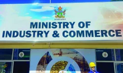 Zim tells foreigners - exit reserved gigs or cut stakes by 75%.webp