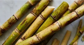 Nigeria pushes sugarcane boom to slash massive sugar import bill.webp