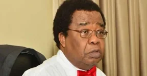 Akinyemi urges Nigeria to build power that no African rival can beat.webp