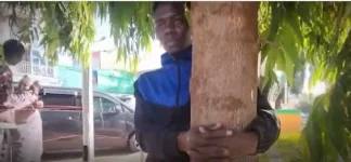 Man hugs tree 80 hours to spotlight Kenya's cancer crisis.webp