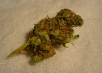 Gwanda cop busted for running a ganja den in a station room.webp