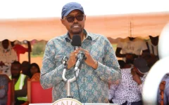 MP slams Gachagua for Somali community remarks.webp