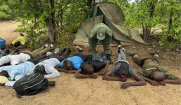 BMA nabs 25 Zim nationals sneaking through Beitbridge bushes.webp