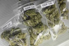 Gwanda cop, accomplice nabbed with weed, syrup haul.webp