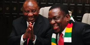 Zim ties SA for top English skills in Africa, says global study.webp