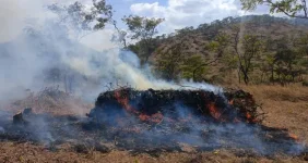 Malawi’s floods expose deforestation reckoning.webp