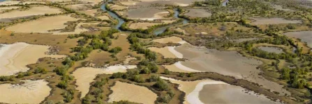 Manicaland wetlands gazetted to curb illegal farming, mining.webp