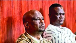 ZANU-PF insider's appeal bid tossed over ridiculous sentencing gripe.webp
