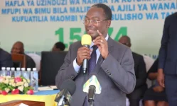 Zanzibar preps immigration overhaul for tourist influx.webp