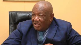 Zanu-PF taps diaspora as economic lifeline, UNSC lobbyists.webp