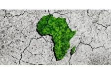Africa’s easiest tax regimes for startups revealed.webp