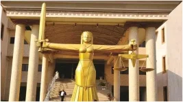 Group calls out plaintiff for misstating the court in Lagos property case.webp