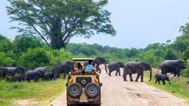 Uganda tourism stays open despite election buzz.webp