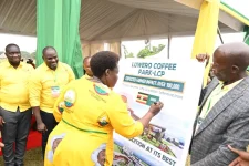 Luwero Coffee Park breaks ground Jan 17.webp