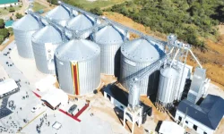 Zimbabwe builds 12 AI silos to boost grain storage.webp