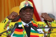 Zanu-PF's 2030 power play faces legal backlash.webp