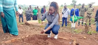 Old Mutual Malawi Commits to Planting 10,000 Trees.webp