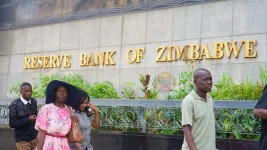 Central Bank Keeps Rate Steady at 35 Percent.webp