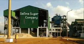 Bank Accounts Unfrozen for Salima Sugar.webp