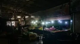 Monkey Mischief Knocks Out Sri Lanka Power Grid.webp