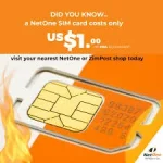 Dealer Dupes Netone with 36 Fake SIM Lines.webp
