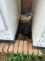 Cable thief electrocuted mid-heist in Polokwane.webp