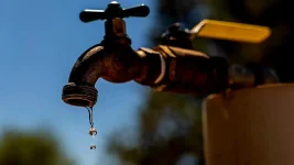 Knysna faces taps running dry in 10 days as dam hits 15%.webp