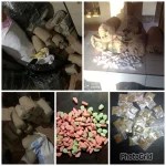 The Gambia nabs dozens in nationwide drug sweep.webp