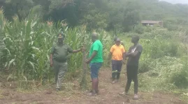 Prison farm near Shurugwi flips dry land into a food and skills hub.webp