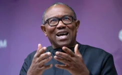 Peter Obi asks FG to pause tax law rollout.webp