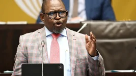 Godongwana says no crisis, blames Zuma for tight purse.webp