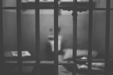 UN expert cheers judges rethinking endless IPP jail terms.webp