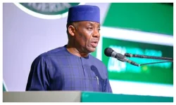 Professors get N140k monthly top-up, says education minister.webp