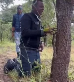 Suluman Chimbetu prays for Emmerson Dambudzo Mnangagwa.webp